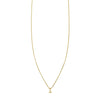 Diamond and Gold Initial Necklace