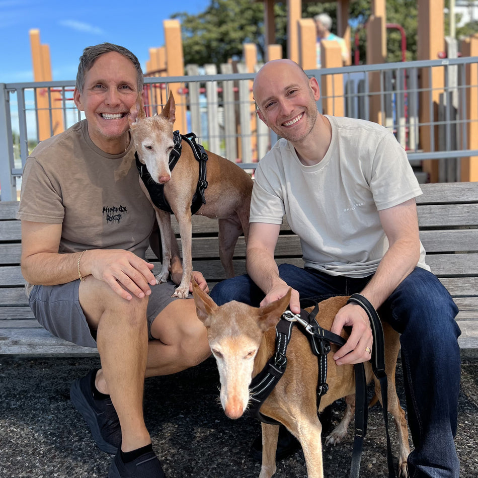 Phoenix Roze owners Stephen Hoerz and Guy Rozenstrich, master jeweler, posing with their puppies